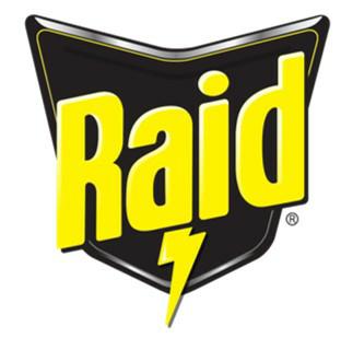 Raid